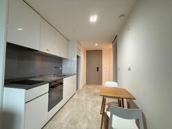 Amber Park (D15), Condominium #584458581